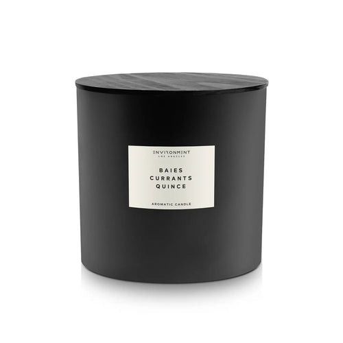 55oz Inspired By Diptyque® Candle Baies | Currants | Quince