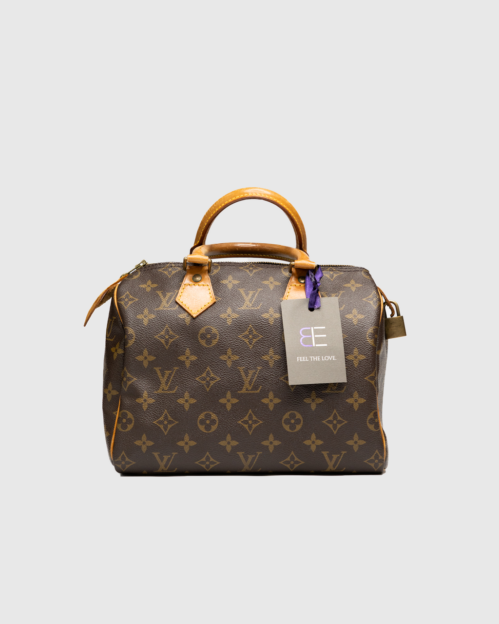 Louis Vuitton Speedy 25 Monogram Canvas Bag